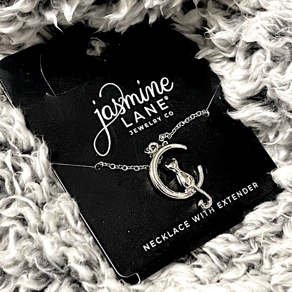 Jasmine Lane 18” silver cat and moon necklace - Picture 1 of 3